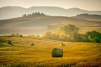 Tuscan Landscape