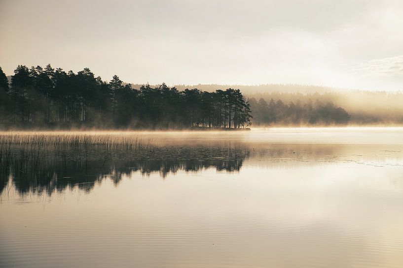 Brouillard qui s'élève dans l'eau à l'aube sur un lac suédois par Martin Köbsch