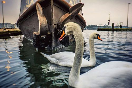 Watching you by Richard Marks