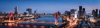 Rotterdam Skyline Willemsbrug 3:1