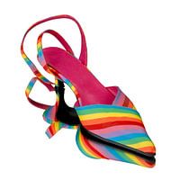 Reflection of a shoe