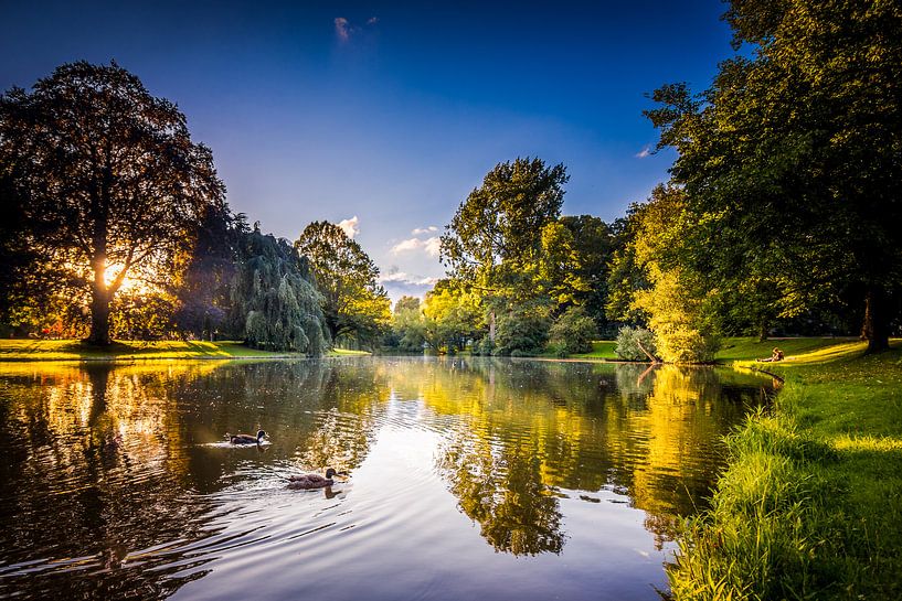 Sunbeams in the Noorderplantsoen Groningen by Jacco van der Zwan