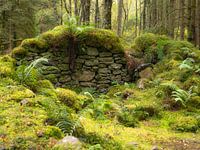 Une maison abandonnée