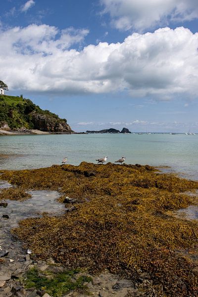 Cancale-Küste von Sebastian Stef