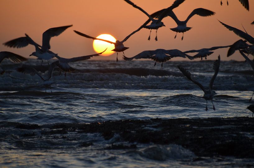 Sonnenuntergang von Corinna Vollertsen