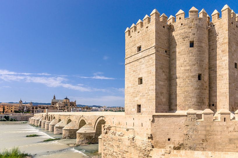 Pont romain sur la rivière à Cordoue, Espagne par Fotografiecor .nl
