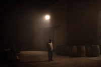 Kurz vor Beginn der Ernte