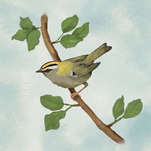 Common firecrest digital drawing by Bianca Wisseloo