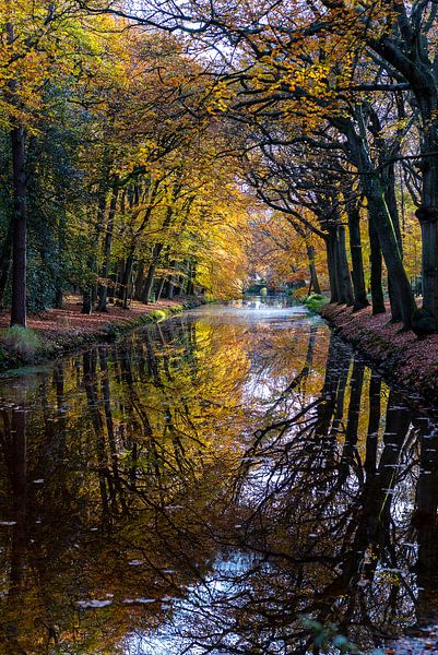 Autumn reflection by Rob Donders Beeldende kunst