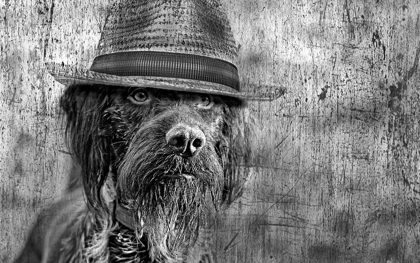 the smart by Hermann Greiling