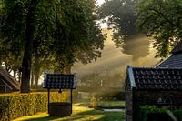 Rayons de soleil dans le brouillard.