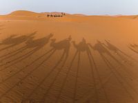 Trip to the Sahara Desert in Morocco