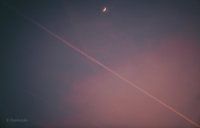 Silent night, soft shades