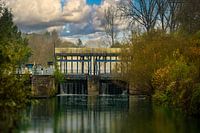 Pollare's shot beams