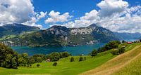 Vue sur le lac de Walen, Suisse