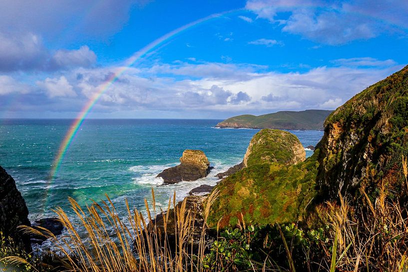 Umgebung Nugget Point in den Catlins von Nicolette Suijkerbuijk