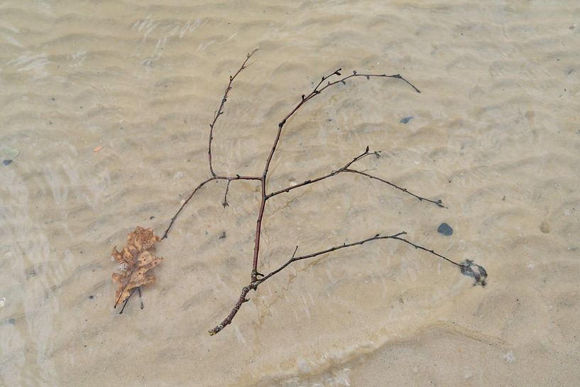 Autumn in the water 4 by Peter Smeekens