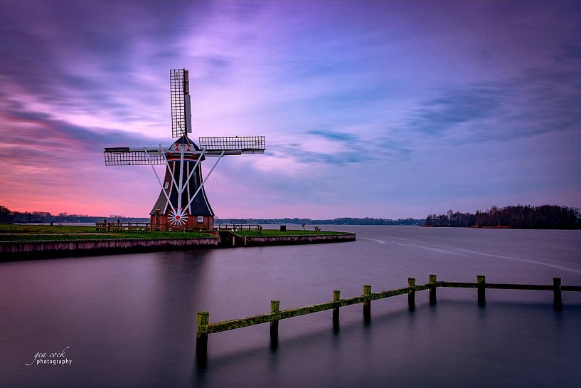 Holland von Gea Cock