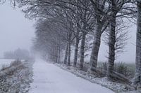 snow shower in high winds