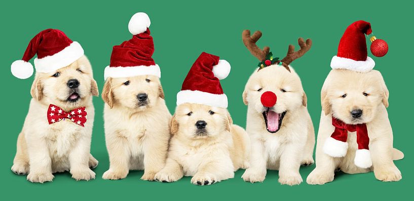 Frohe Weihnachten von Moonheart Artworks