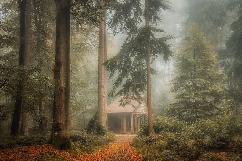 Het Loo Royal Estate by Niels Barto