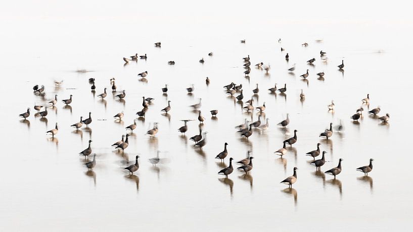 Silence séduisant 2 par Wad of Wonders