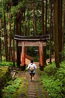 Hiking in the Japanese forests, Kyoto, Japan