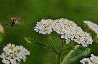 Landingszone n°1000