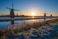 Winter morning in Kinderdijk