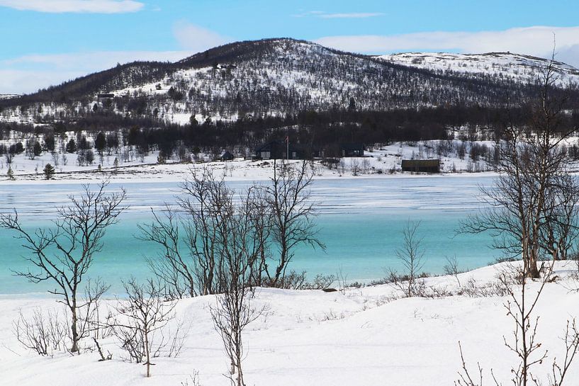 Hardangervidda Norwegen von Inge Hogenbijl