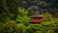 Japanese temple in the forest