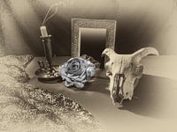 OLYMPUS DIGITAL CAMERA AT 5 MII