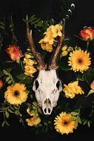 Dia de los Muertos - Hirsch-Schädel - Reebok Geweih