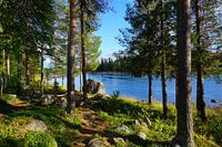 Fluss Vindelälven in Schwedisch Lappland