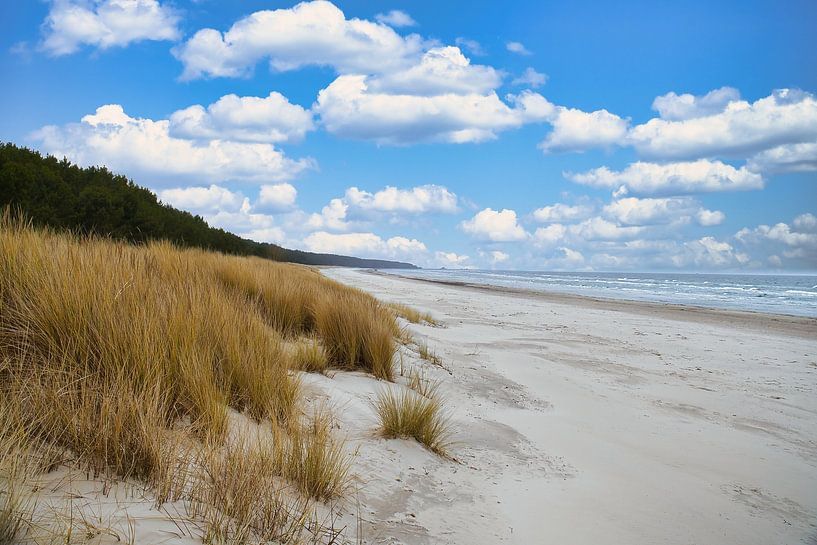 Vue sur la plage d'Usedom avec les dunes d'un côté et la mer Baltique de l'autre. par Martin Köbsch