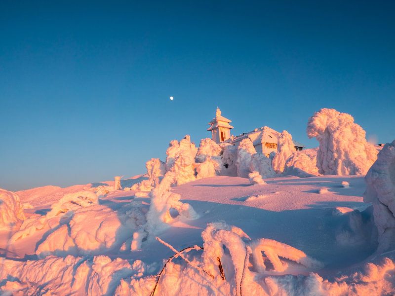 Winter landscape is illuminated by the sun on the Fichtelberg in Saxony by Animaflora PicsStock