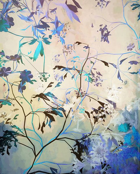 Garden at dawn by Angel Estevez