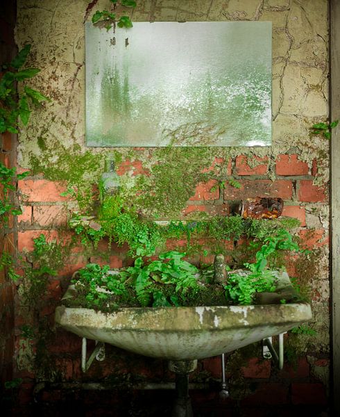 Green invasion by Olivier Photography