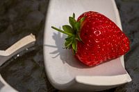 Les champs de fraises pour toujours - partie 2