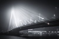 Pont Erasmus dans le brouillard - SW