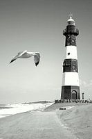 Lighthouse breskens, The Netherlands
