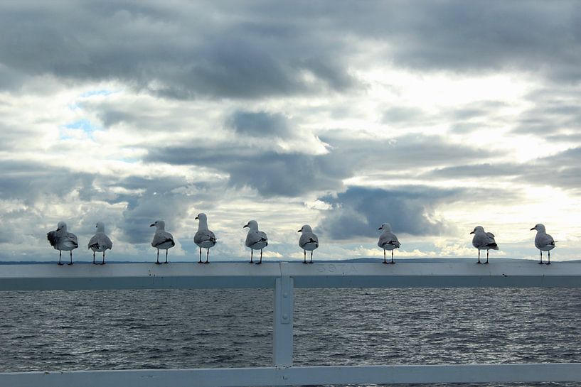 Meeuwen met prachtige lucht van Ingrid Meuleman