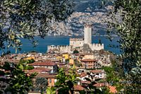 Malcesine avec le château de Scaliger au lac de Garde