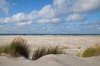 Strand auf Terschelling