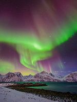 Aurore boréale sur un fjord dans le nord de la Norvège