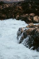 Moorish red legged crab on the rocks