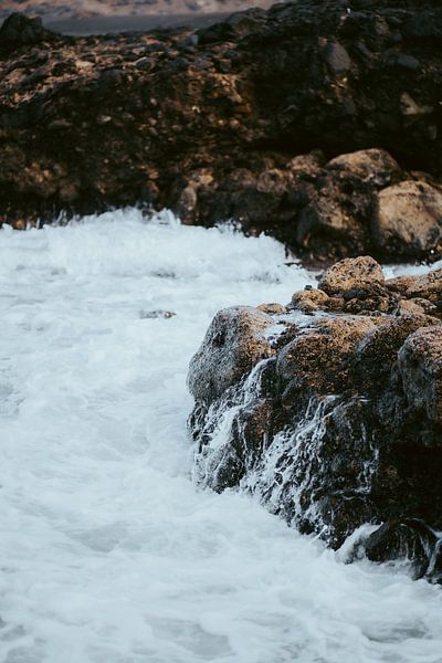 Moorish red legged crab on the rocks by Bjarne Vijfvinkel