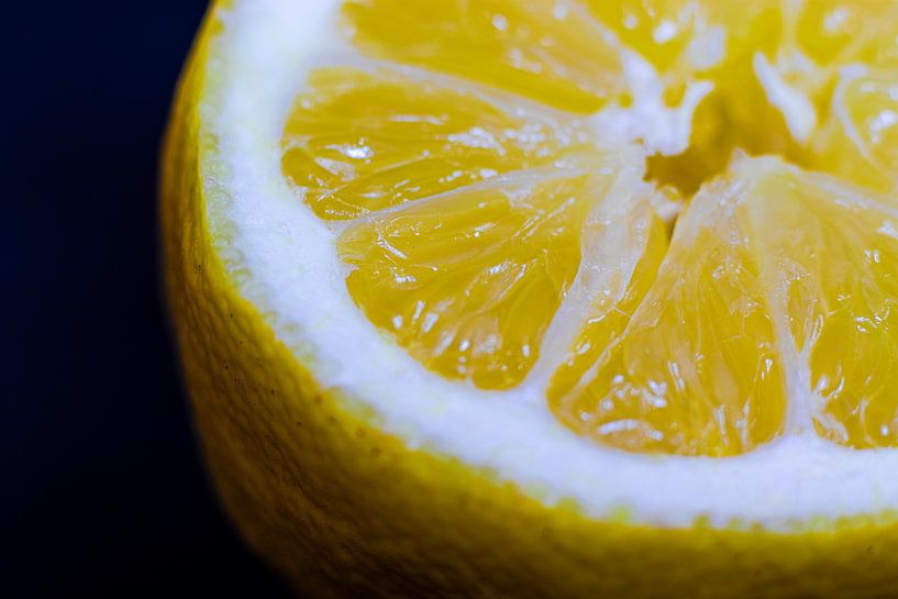 Lemon by Nynke Altenburg
