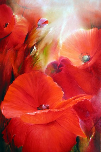 A summer day - red poppy by Annette Schmucker