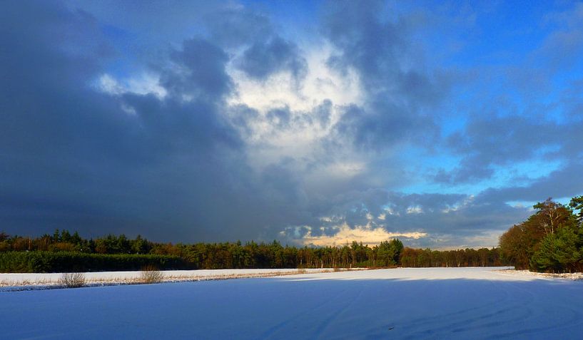 Winterse taferelen von M de Vos